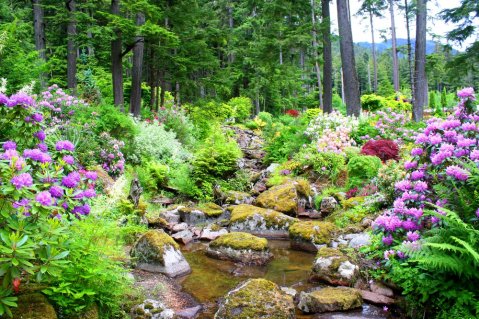 This Beautiful And Unusual Garden Proves That Alaska Is More Than Just Tundra