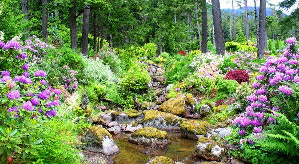 This Beautiful And Unusual Garden Proves That Alaska Is More Than Just Tundra