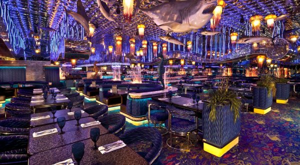 These 10 Uniquely Themed Restaurants Will Transform Your Nevada Dining Experience