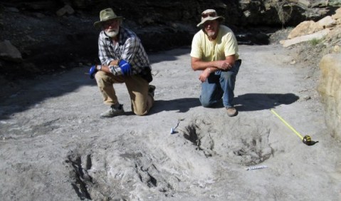 What They Discovered About Dinosaurs At The University of Colorado Denver Is Mind-Blowing