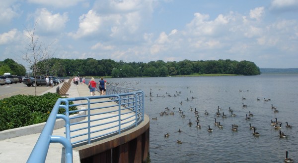 Ducks Walk On Fish At The Oddest Attraction In Pennsylvania
