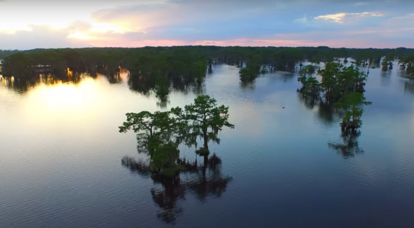 What This Drone Footage Caught In Louisiana Will Drop Your Jaw