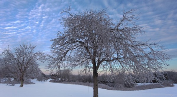 20 Times Snow Transformed Kentucky Into The Most Beautiful Scenery