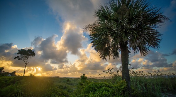 Everything You’ll Ever Need To Know About South Carolina From A To Z