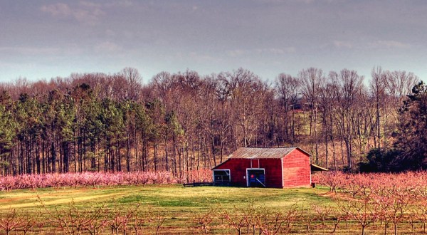 17 Photos That Prove Rural South Carolina Is The Best Place To Live