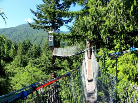 This Treehouse In Washington Will Give You An Unforgettable Experience