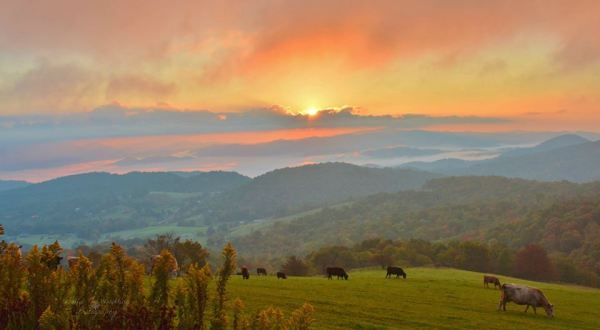 12 More Photos That Prove Rural North Carolina Is The Best Place To Live