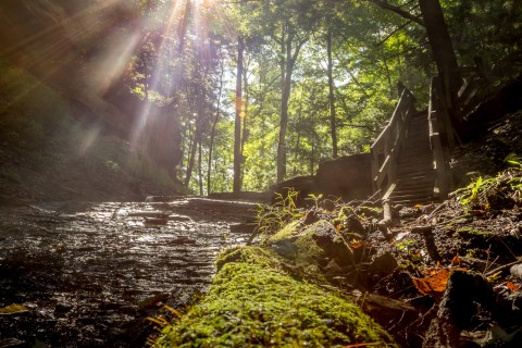 This Hiking Spot In Indiana Will Give You An Unforgettable Experience