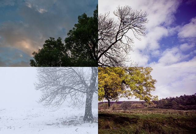 We have all four seasons.