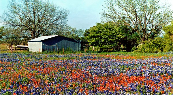 21 Things You Can Only Brag About If You’re From Texas