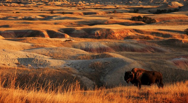 12 Incredible Facts About South Dakota That Could Make You Want To Move