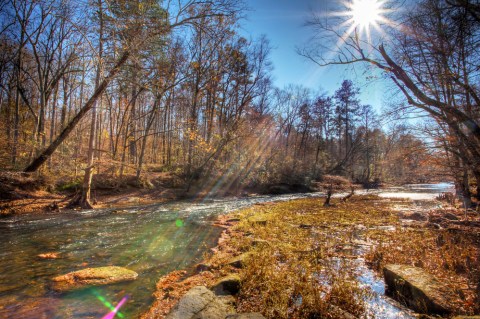 If You Live In Mississippi, You Must Visit This Amazing State Park