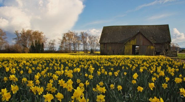 15 Photos That Prove Rural Washington Is The Best Place To Live