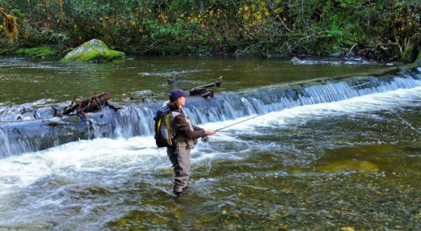 Everyone In Alaska Must Check Out These 11 Fly Fishing Spots