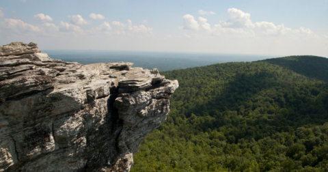 If You Live In North Carolina, You Must Visit This Amazing State Park