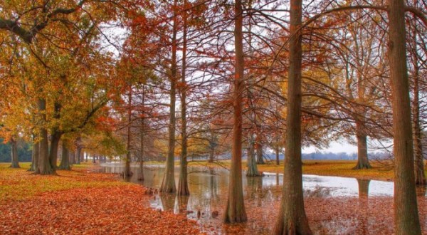 11 Sites In Mississippi Will Remind You How Stunning America Truly Is