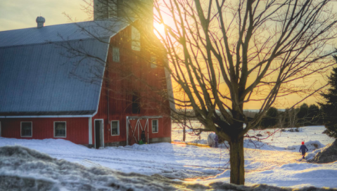 These 15 Charming Farms In New York Will Make You Love The Country