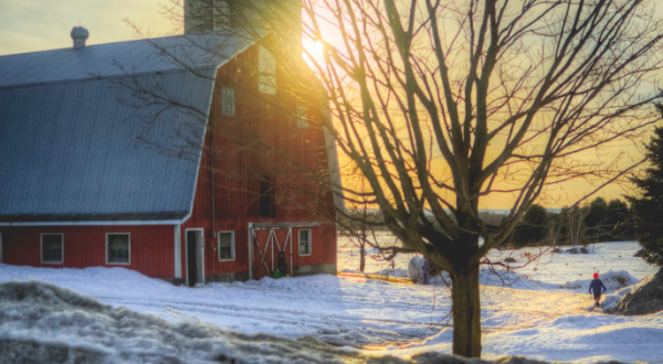 These 15 Charming Farms In New York Will Make You Love The Country