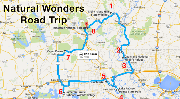 The Ultimate Louisiana Natural Wonders Road Trip Is Right Here—And You’ll Want To Take It