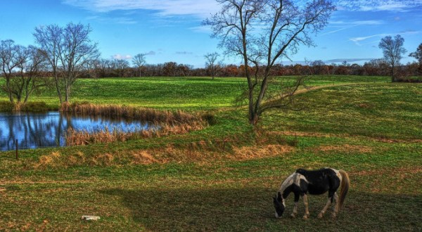 20 Photos That Prove Rural Maryland Is The Best Place To Live