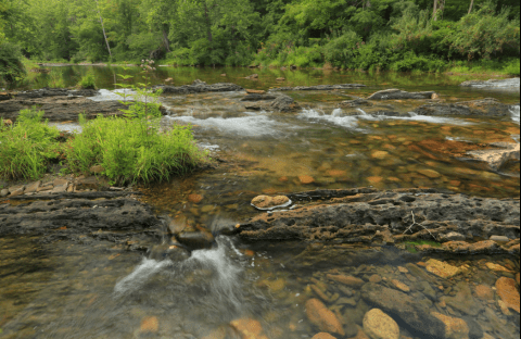 Everyone in Virginia Must Visit This Epic Natural Spring As Soon As Possible