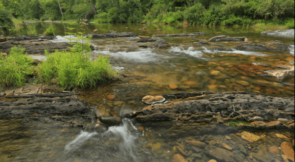 Everyone in Virginia Must Visit This Epic Natural Spring As Soon As Possible