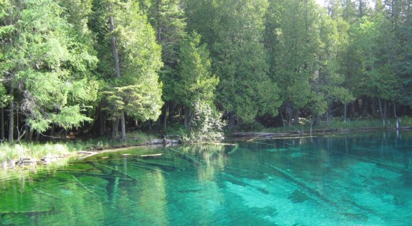 Everyone in Michigan Must Visit The Stunning Natural Spring At Palms Book State Park