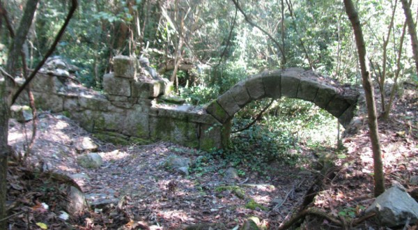 Nature Is Reclaiming This One Abandoned South Carolina Spot And It’s Actually Amazing