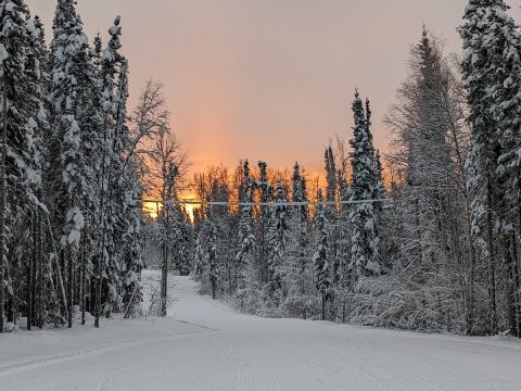 Here Are the 9 Best Places To Go Sled Riding In Alaska This Winter