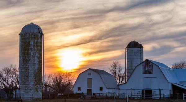 These 15 Charming Farms in Delaware Will Make You Love the Country
