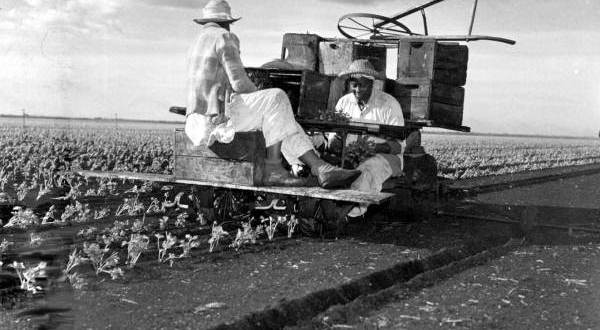 There’s Something Special About These 25 Florida Farms From The Past