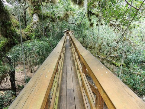 This Swinging Bridge In Florida Will Make Your Stomach Drop