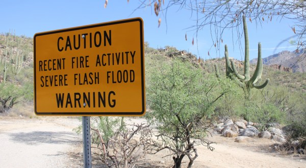 Here Are 11 Things You Will Never Catch Anyone From Arizona Doing