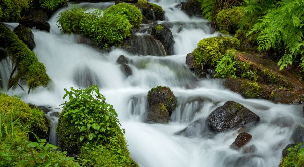 Everyone In Oregon Must Visit This Epic Natural Spring As Soon As Possible