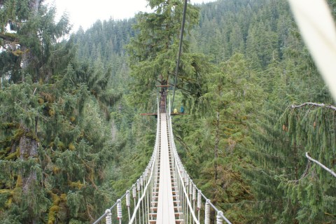 These Terrifying Swinging Bridges In Alaska Will Make Your Stomach Drop