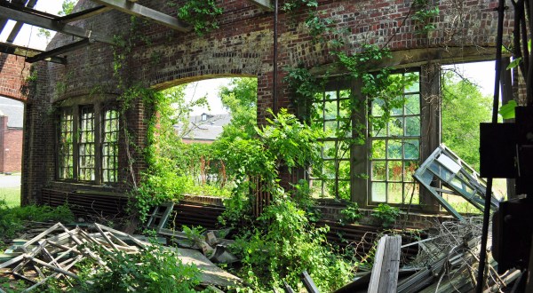 Nature Is Reclaiming This One Abandoned New Jersey Spot And It’s Actually Amazing
