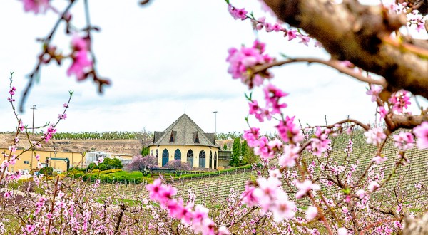 14 Undeniable Signs That Spring Is Almost Here In Idaho