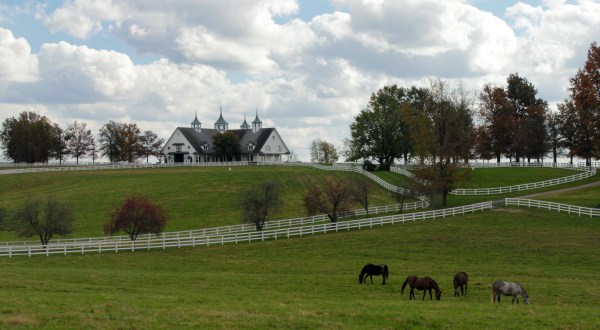 15 Reasons Why Anyone Who Hates Kentucky Can Just Shut Up