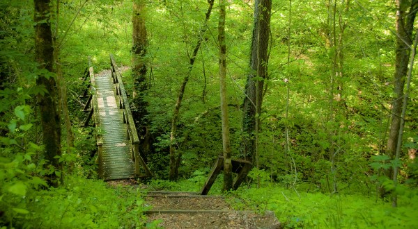 12 Places To Go In Kentucky If You’re Feeling Adventurous