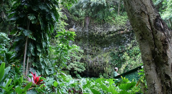 This Magical Grotto Hiding In Hawaii Will Drop Your Jaw