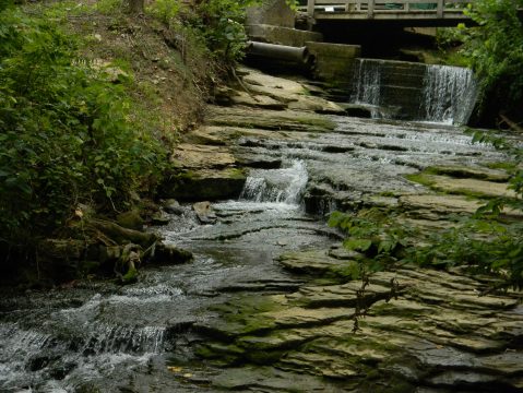 Everyone In Kentucky Must Visit This Epic Natural Spring As Soon As Possible