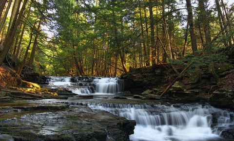 7 Unbelievable State Parks In Pennsylvania For Hiking