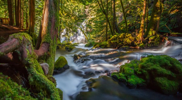 This Short Hike In Washington Will Give You An Unforgettable Experience