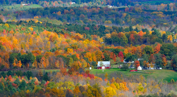 These 11 Perfectly Picturesque Small Towns In New York Are Delightful
