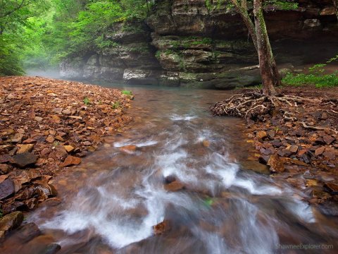 Everyone in Illinois Must Visit This Epic Natural Spring As Soon As Possible