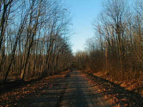 Driving Down This Haunted Wisconsin Road Will Give You Nightmares