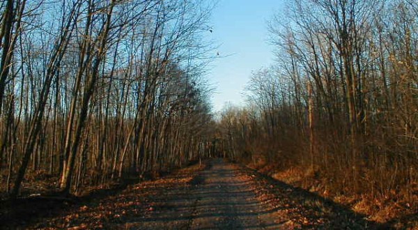 Driving Down This Haunted Wisconsin Road Will Give You Nightmares