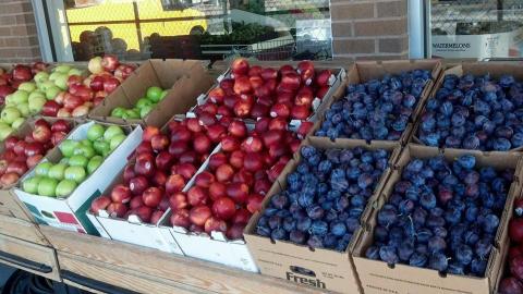 These 13 Incredible Farmers Markets In Colorado Are A Must Visit