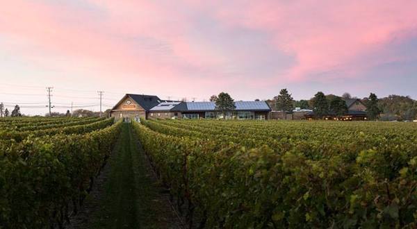 These 9 Beautiful Wineries In Rhode Island Are a Must-Visit For Everyone