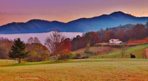 These 14 Charming Farms In North Carolina Will Make You Love The Country